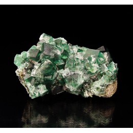 Fluorite Diana Maria Mine - Rogerley M04611